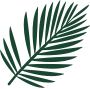 noun leaf 1043119